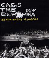 Cage The Elephant/Live From The Vic In Chicago