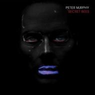 Peter Murphy (ピーターマーフィー)｜商品一覧｜HMV&BOOKS