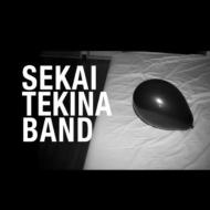 Sekaitekinaband