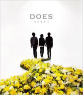 DOES/ (Ltd)