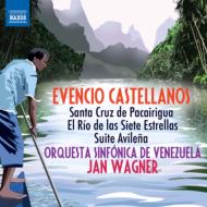 Santa Cruz de Pacairigua, etc : J.Wagner / Venezuela Symphony Orchestra