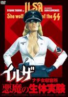 �C���U �i�`�����e��: �����̐��̎���