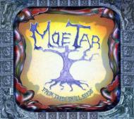 From These Small Seeds