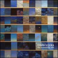 Tindersticks/Something Rain
