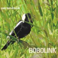 Bobolink
