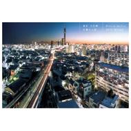 ���� / �V���