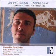 Cattaneo Aureliano/Trazos Trio Concertino V. garcia / Ensemble Espai Sonor
