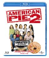American Summer Story American Pie 2