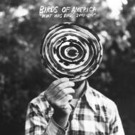 Birds Of America/What Was Birds 2000-2011