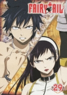 アニメ/Fairy Tail 29