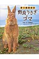 茅ヶ崎海岸の野良うさぎゴマ 内藤雅光 Hmv Books Online