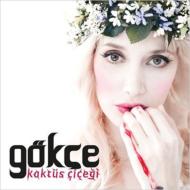 Gokce/Kaktus Cicegi