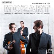 Divertimento K.563: Trio Zimmermann +schubert: String Trio, 1,