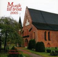Flute Classical/Musik Till Trost 2005-flute Works Tserkovnaja Bengtson Christiansson(Fl) Etc