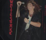 Whitesnake/Bat Shaped Picture Disc