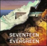 Seventeen Evergreen/Steady On Scientist!