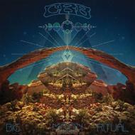 Chris Robinson Brotherhood/Big Moon Ritual