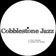 Cobblestone Jazz/Who's Future