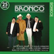 Bronco/Iconos 25 Exitos