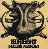 Horisont/Second Coming