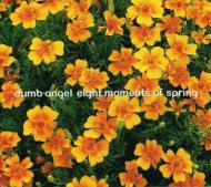Eight Moments Of Spring