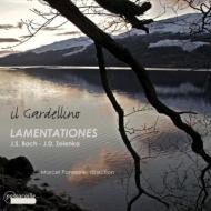 Хåϡ1685-1750/Cantata 46 102  Ponseele / Il Gardellino +zelenka