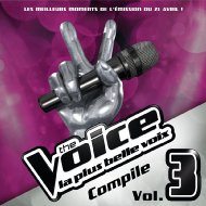 Various/Voice La Plus Belle Voix - Vol.3