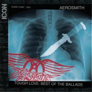 Aerosmith/Icon