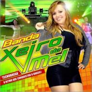 Banda Xeiro De Mel/Tecnobrega O Ritmo Que Conquistou O Brasil