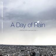 A Day Of Rain -Unknown Perspective -