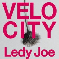 LEDY JOE/Velocity