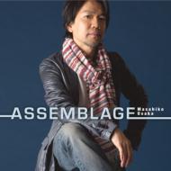 Assemblage