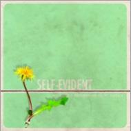 Self-Evident/We Built A Fortress On Short Notice
