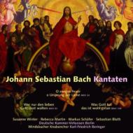 Хåϡ1685-1750/Cantata 14 93 100  Beringer / Deutsche Kammer-virtuosen Berlin Windsbacher Knabe