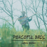 Peaceful Birds