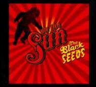 Black Seeds/On The Sun