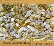 David Greenberger / Jupiter Circle/Never Give Up Study