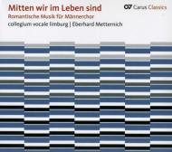 Romantic Church Music For Male Chorus: E.metternich / Collegium Vocal Limbureg