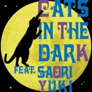 Cats In The Dark