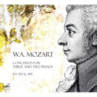 モーツァルト（1756-1791）/Piano Concerto 7 10 ： Nikolayeva Virsaladze Lugansky(P) Sondeckis / Lithuanian