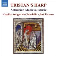 Medieval Classical/Ristan's Harp-arthurian Medieval Music Ferrero / Apilla Antigua De Chinchilla