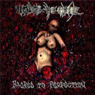 Hacked To Perfection