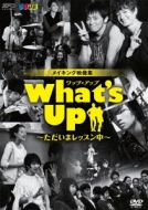 What's Up (ワッツアップ)DVD Vol.4 出演 : イム・ジュファン, D-LITE(BIGBANG) 第16話〜最終第20話収録 イム・ジュファン主演！＆ D-LITE（BIGBANG）『What's Up