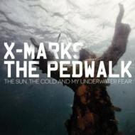 Sun The Cold & My Underwater Fear