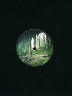 Lost Forever In A Happy Crowd