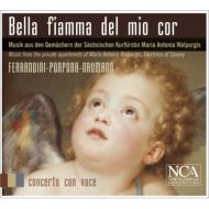 Baroque Classical/Bella Fiamma Del Mio Cor Concerto Con Voce Steude(S) Katzschke(Cemb)