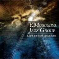 ϻѲͺ (Yusuke Musumiya)/Light And Dark Adaptation