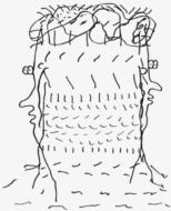 Believe In Reflecting