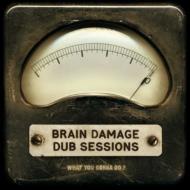Dub Sessions -What You Gonna Do