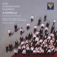 羧ʥ˥Х/A Cappela-romantic Choral Music Steidler / Audi Jugendchor Akademie